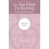 Lo, How A Rose E'er Blooming